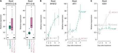 Rhizobacteria-Mediated Activation of the Fe Deficiency Response in Arabidopsis Roots: Impact on Fe Status and Signaling